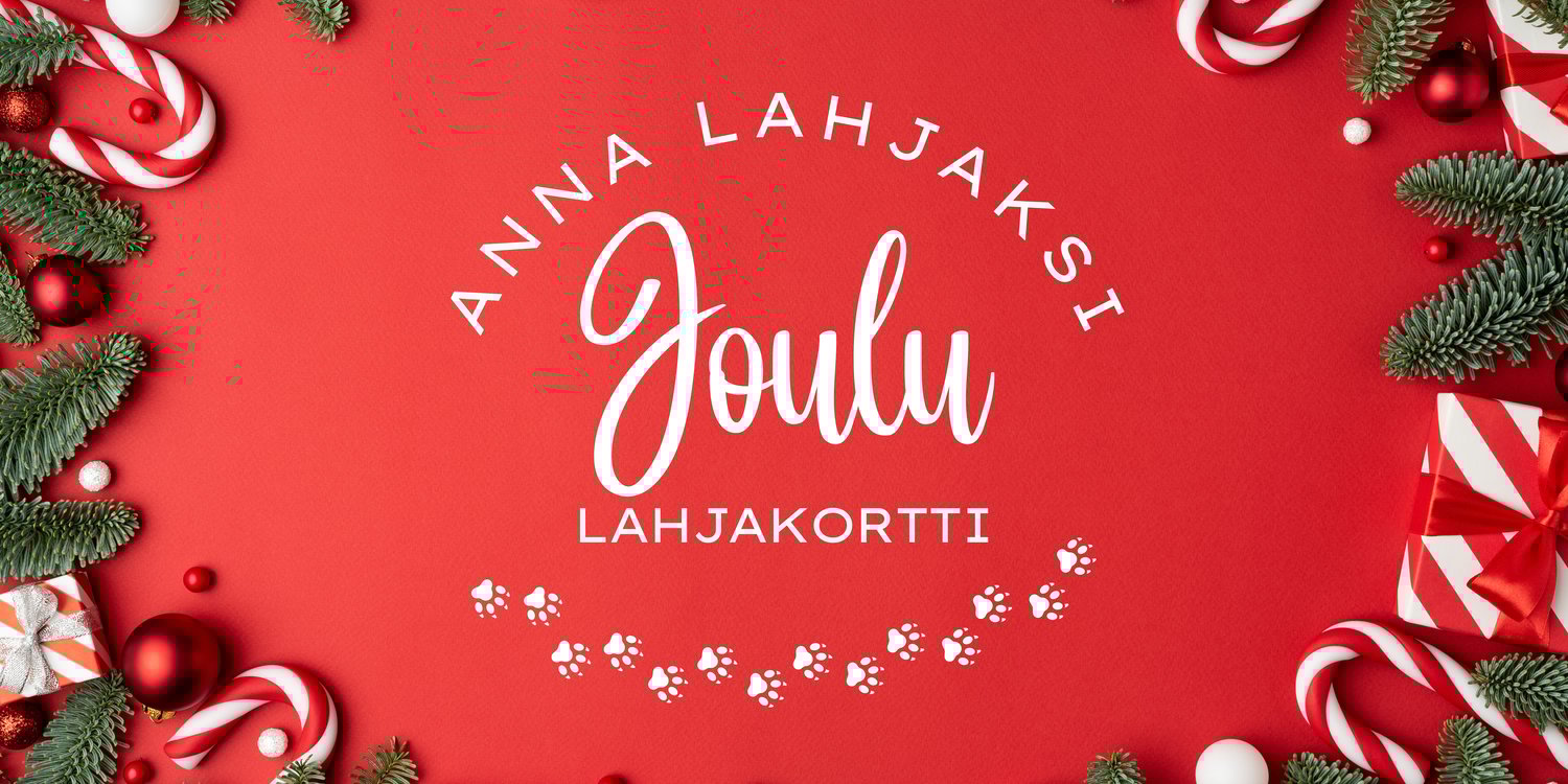 Joulu lahjakortti banneri-3